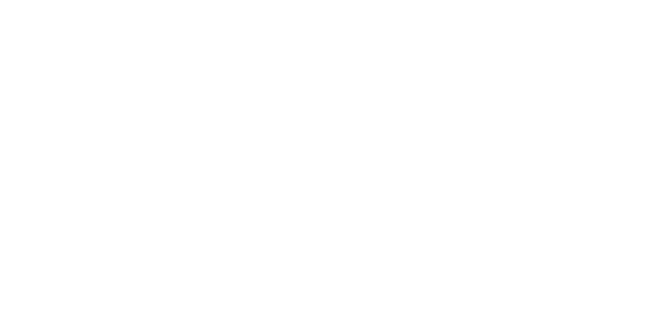 AGS IT-partner