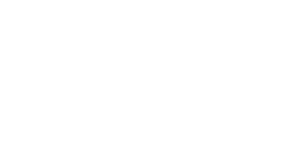 Electronic Coast