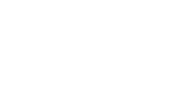 Universitetet i Sørøst- Norge